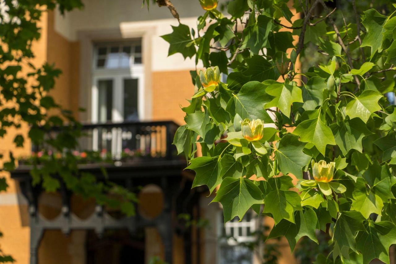 Gaestehaus Musmann Munden  ภายนอก รูปภาพ